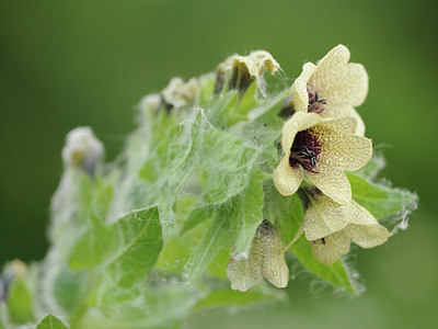 BUITEN BEELD Foto: 127930