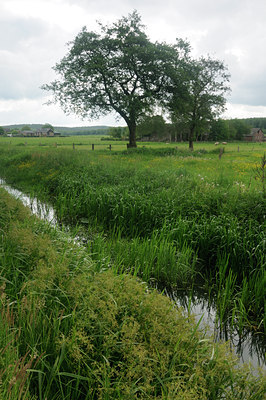 BUITEN BEELD Foto: 127958