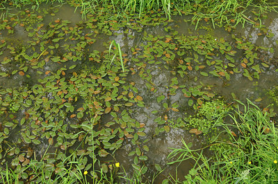 BUITEN BEELD Foto: 127959