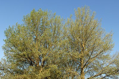 BUITEN BEELD Foto: 128017