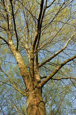 BUITEN BEELD Foto: 128018