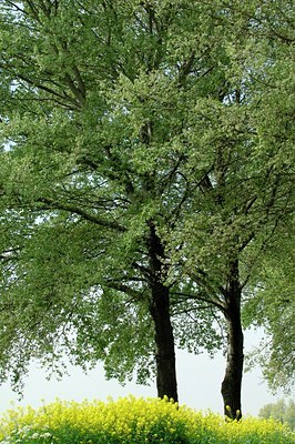 BUITEN BEELD Foto: 128027
