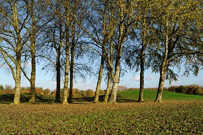 BUITEN BEELD Foto: 128044