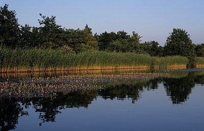 BUITEN BEELD Foto: 128086
