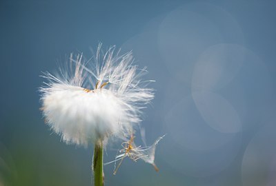 BUITEN BEELD Foto: 128134