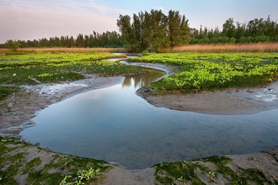 BUITEN BEELD Foto: 128165