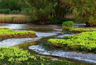 BUITEN BEELD Foto: 128167