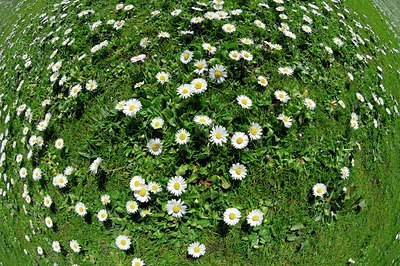 BUITEN BEELD Foto: 128182