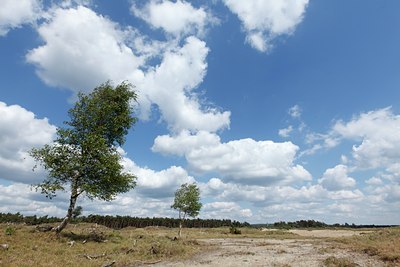 BUITEN BEELD Foto: 128199