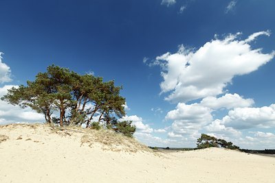 BUITEN BEELD Foto: 128205