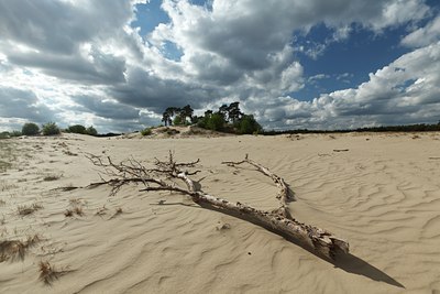 BUITEN BEELD Foto: 128210