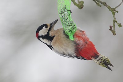 BUITEN BEELD Foto: 128294