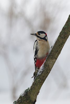 BUITEN BEELD Foto: 128300