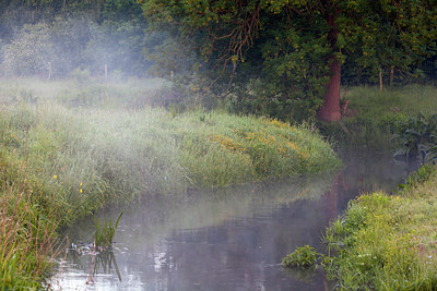 BUITEN BEELD Foto: 128356