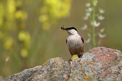 BUITEN BEELD Foto: 128387