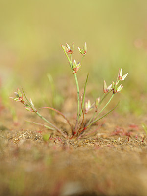 BUITEN BEELD Foto: 128430