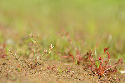 BUITEN BEELD Foto: 128432