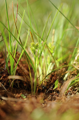 BUITEN BEELD Foto: 128435