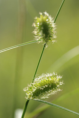 BUITEN BEELD Foto: 128437