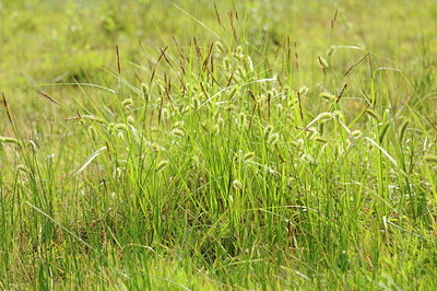 BUITEN BEELD Foto: 128449