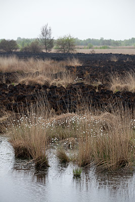 BUITEN BEELD Foto: 128479