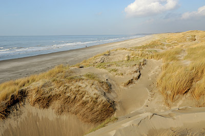 BUITEN BEELD Foto: 128494