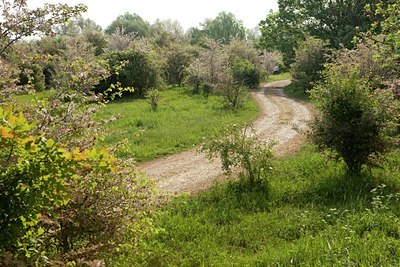 BUITEN BEELD Foto: 128540