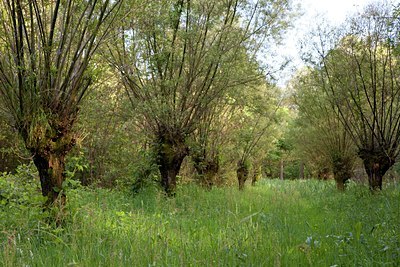 BUITEN BEELD Foto: 128556