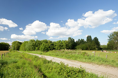 BUITEN BEELD Foto: 128575