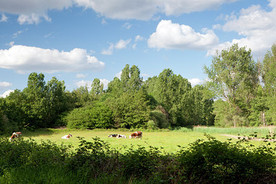 BUITEN BEELD Foto: 128576