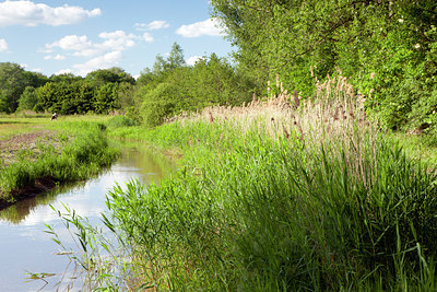 BUITEN BEELD Foto: 128578