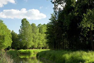 BUITEN BEELD Foto: 128579