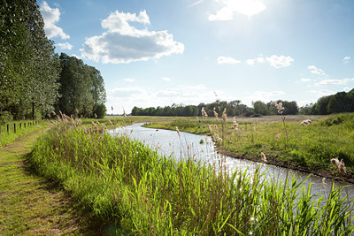 BUITEN BEELD Foto: 128580