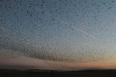 BUITEN BEELD Foto: 128592