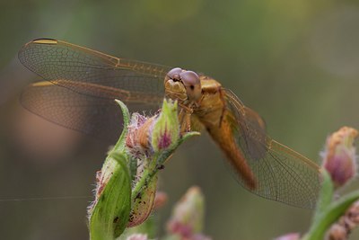BUITEN BEELD Foto: 128595