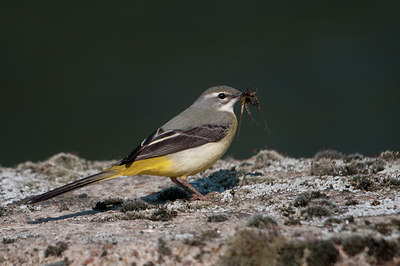 BUITEN BEELD Foto: 128622