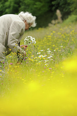 BUITEN BEELD Foto: 128636