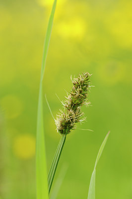 BUITEN BEELD Foto: 128648