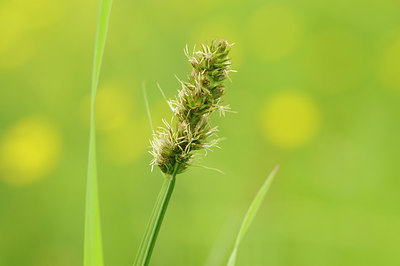 BUITEN BEELD Foto: 128651