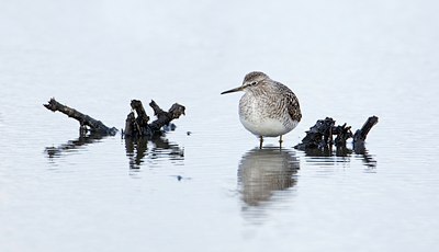 BUITEN BEELD Foto: 128664