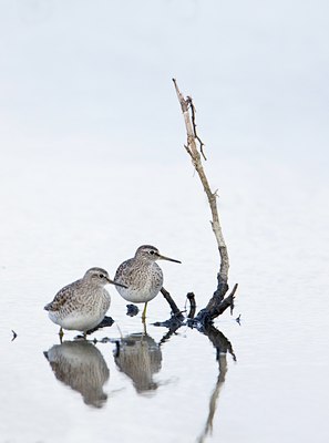 BUITEN BEELD Foto: 128665