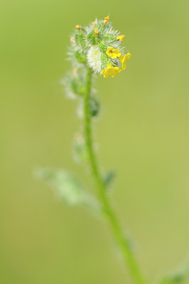 BUITEN BEELD Foto: 128694