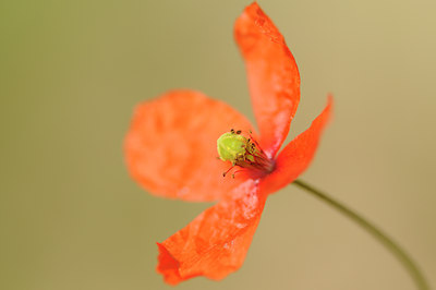 BUITEN BEELD Foto: 128706