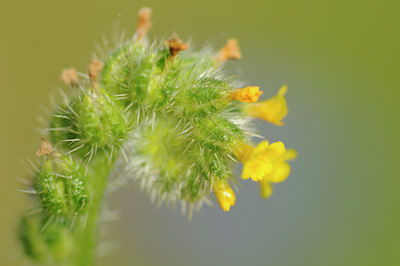 BUITEN BEELD Foto: 128710