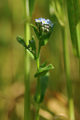 BUITEN BEELD Foto: 128717