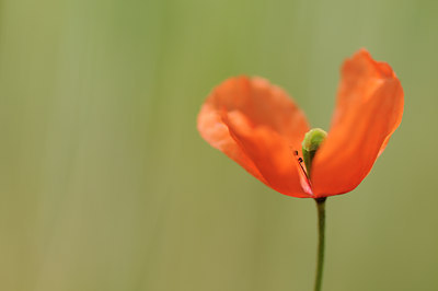 BUITEN BEELD Foto: 128721