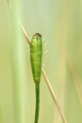 BUITEN BEELD Foto: 128726