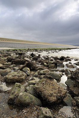 BUITEN BEELD Foto: 128774