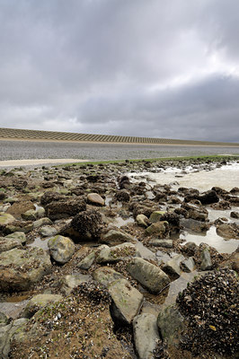 BUITEN BEELD Foto: 128776