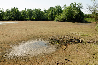 BUITEN BEELD Foto: 128788